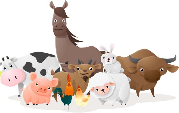 全球最古老的鱼在哪发现的,目前存有最古老的鱼是什么鱼