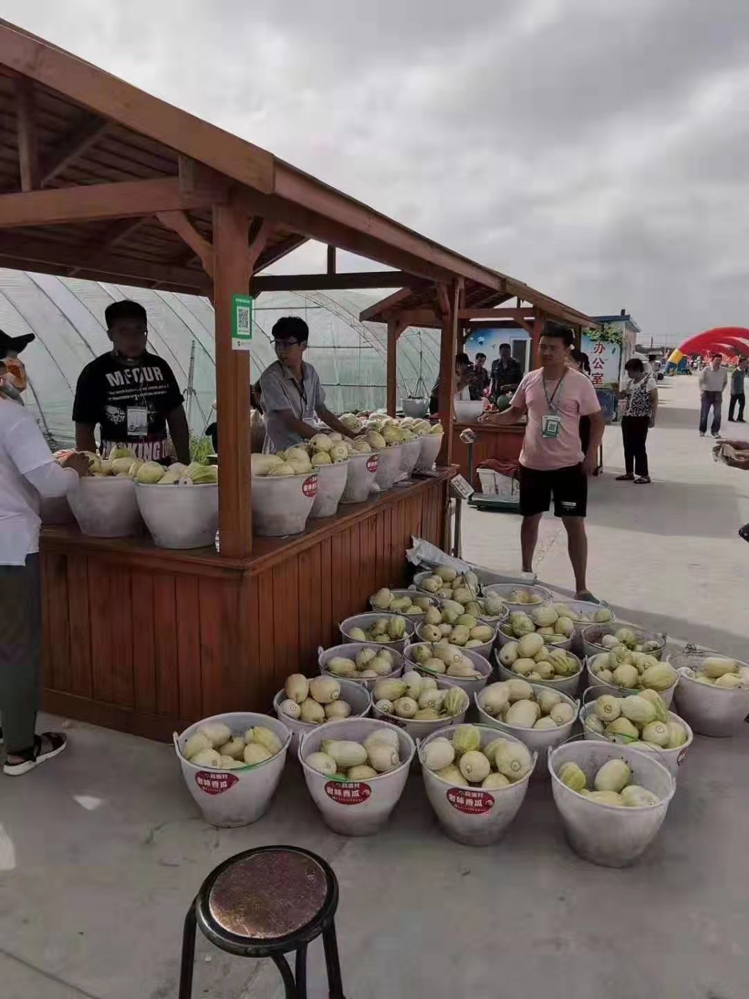 黑龙江省肇东市最美乡村瓜节飘香醉游人