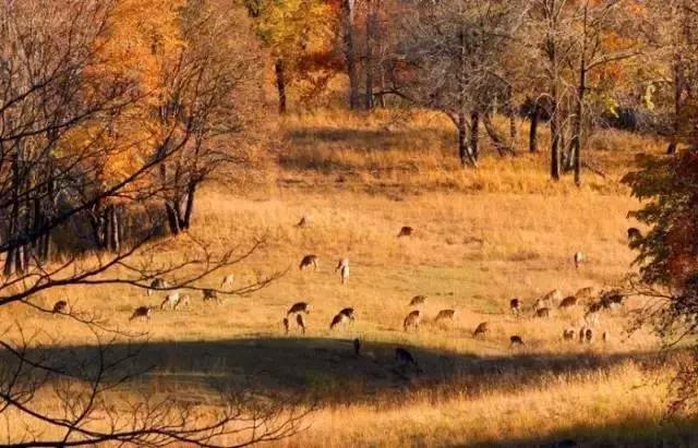 哈尔滨自驾三亚边走边玩最佳路线,哈尔滨到漠河自驾旅游攻略10天