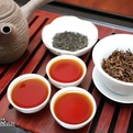 中国十大名茶茉莉花茶,中国十大名茶安吉白茶
