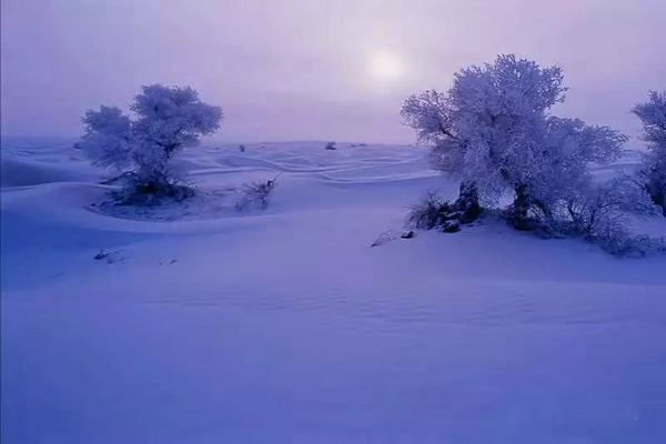 巴音布鲁克镇冬天的生活,巴音郭楞自治州和静县冬天