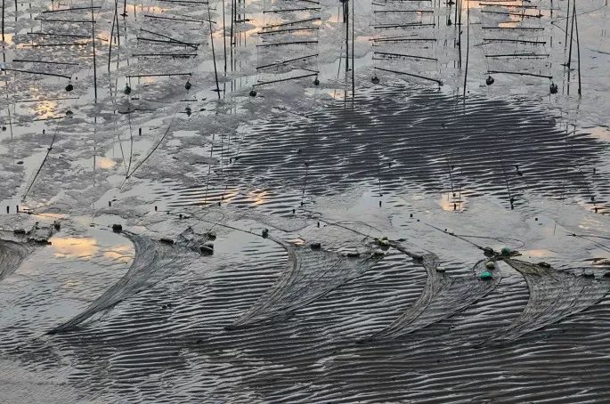 霞是光，浦是海：光与海的对话，吟唱出最美的滩涂