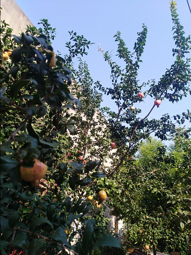 王玉：余沟初秋与老城老人