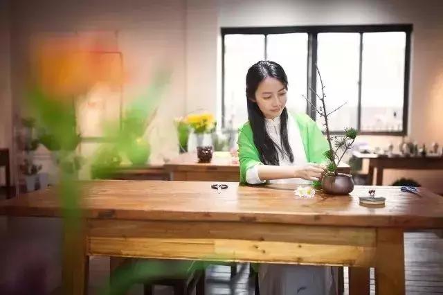 无锡拈花湾住宿禅意村舍,无锡拈花湾禅意植物