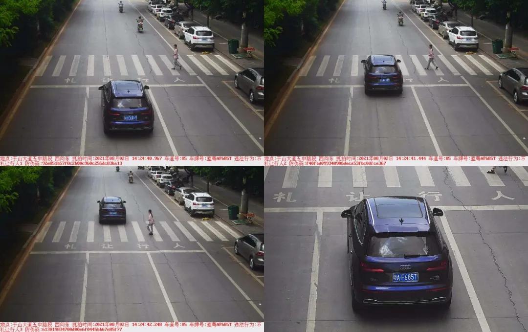 于都礼让行人上哪里举报,于都五中不礼让行人抓拍