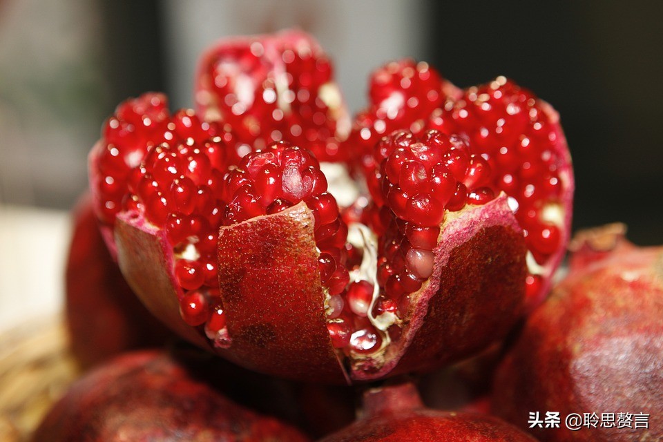 有关石榴的诗词,石榴树诗词