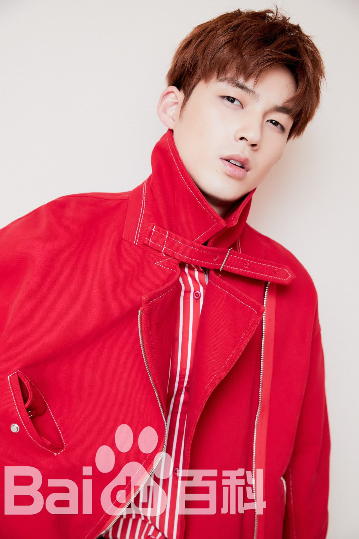 盘点中国十位体育明星,盘点在娱乐圈发展的体育明星