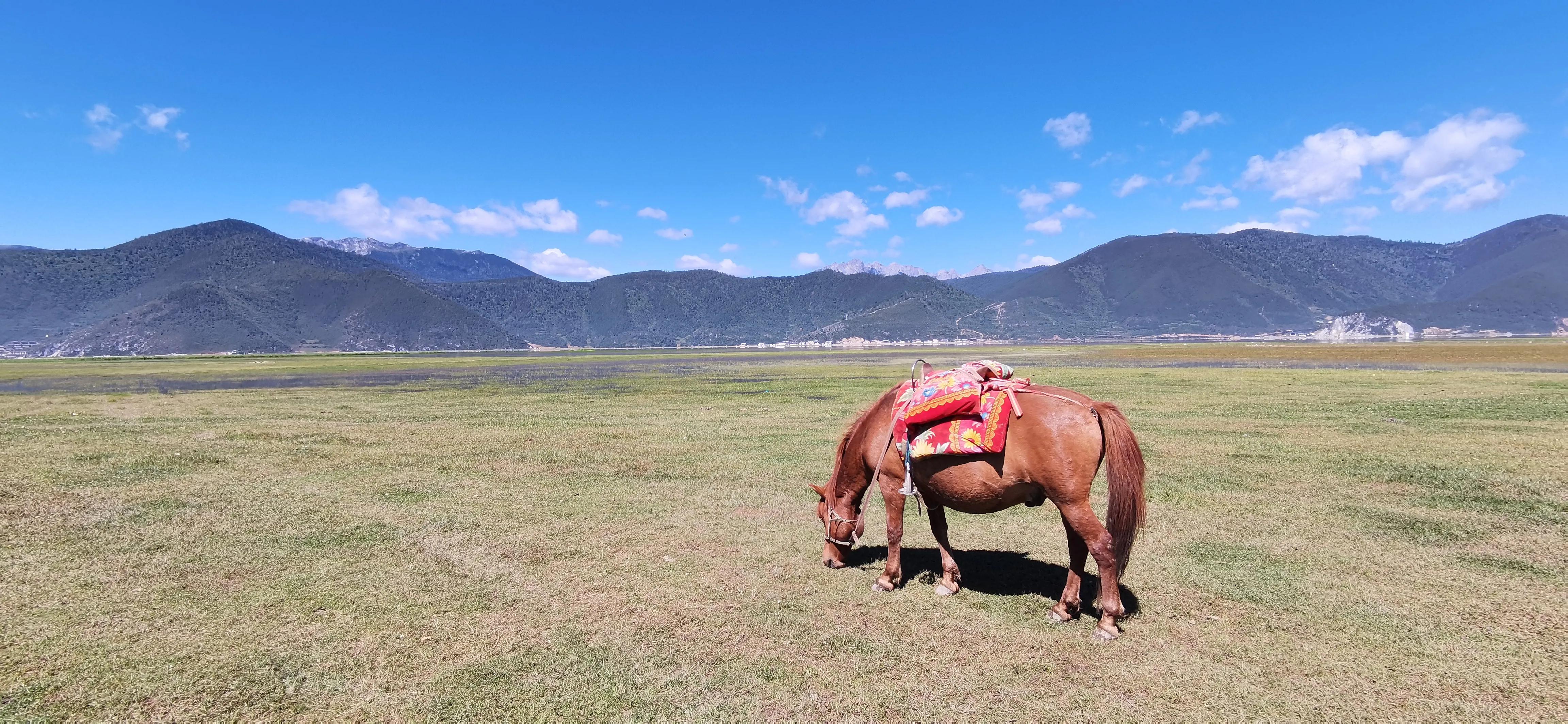 给大家讲一些很有意义的话,给大伙讲一段故事