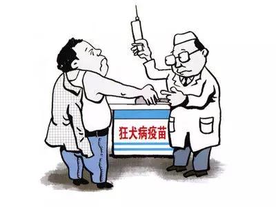 狂犬病打疫苗真的有用吗,狂犬疫苗注射后真的会变傻吗