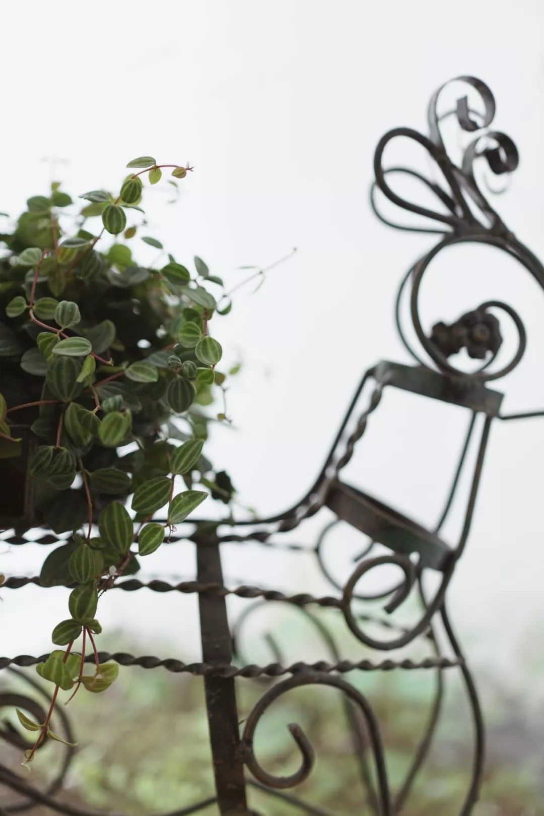 买老破小上海学区房,上海最老旧学区房