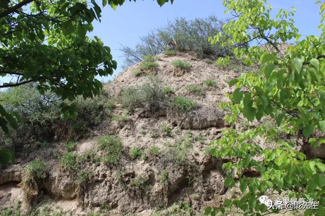 万里长城西起临洮东至辽东,西起临洮东至辽东的万里长城