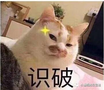 居然比原著还要精彩，它凭什么能做到？