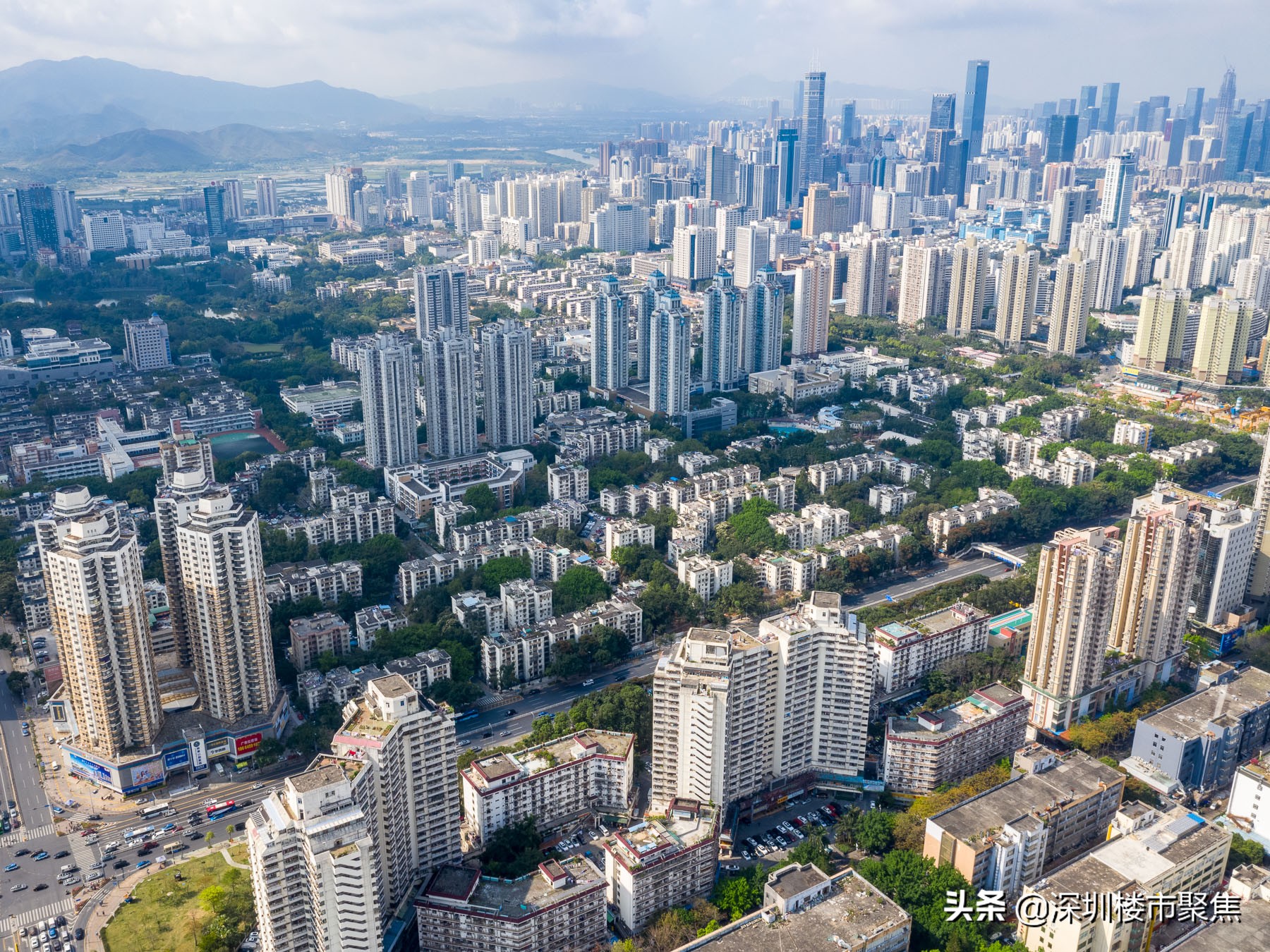 汤唯在深圳红岭中学哪一年的,汤唯的中学