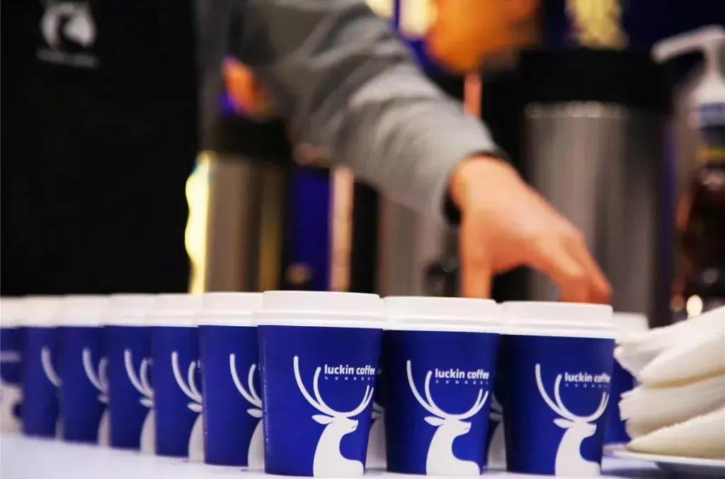 burberry是几线奢侈品,burberrygucci联名款