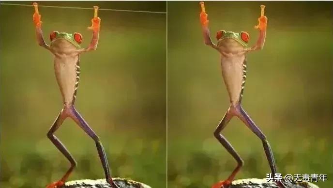 被囚34年取精，被迫亲手杀死爱子，最后只能挣扎着死去…