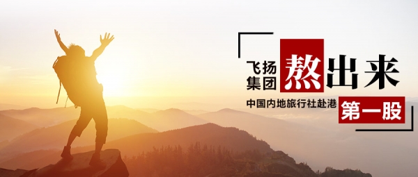 飞扬旅行社是上市公司吗,飞扬旅行社股票