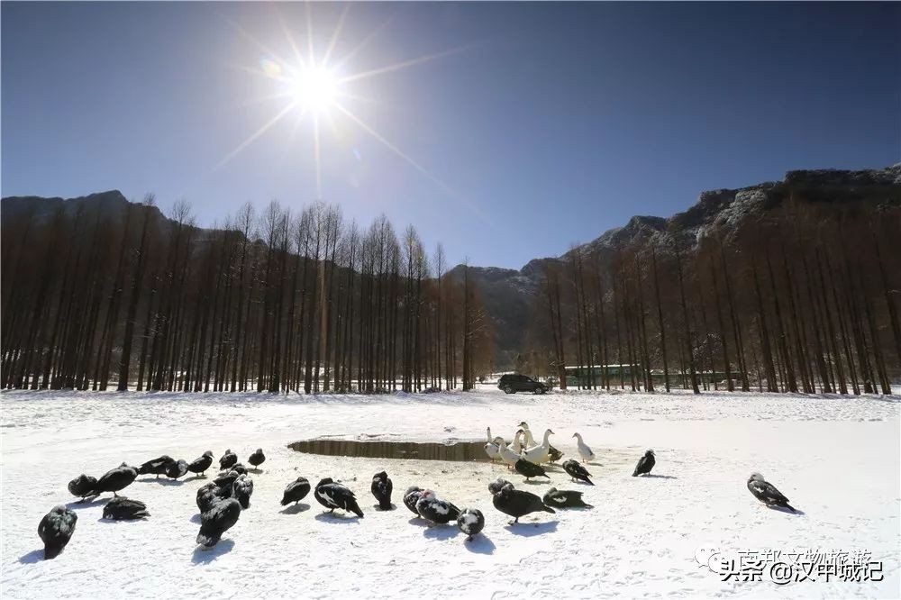 周末去哪里玩计划表,周末去哪儿旅游情报