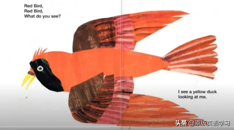 英语绘本brownbear动画,brownbear英文绘本讲读视频