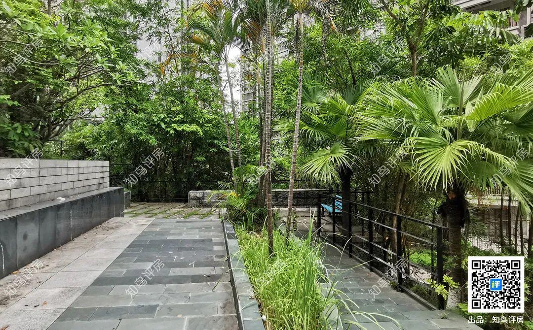 坐拥35公顷水域的横圳水库的虎门丰泰裕田，究竟好在哪里