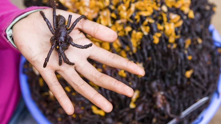 柬埔寨金边美食推荐,柬埔寨美食视频大全