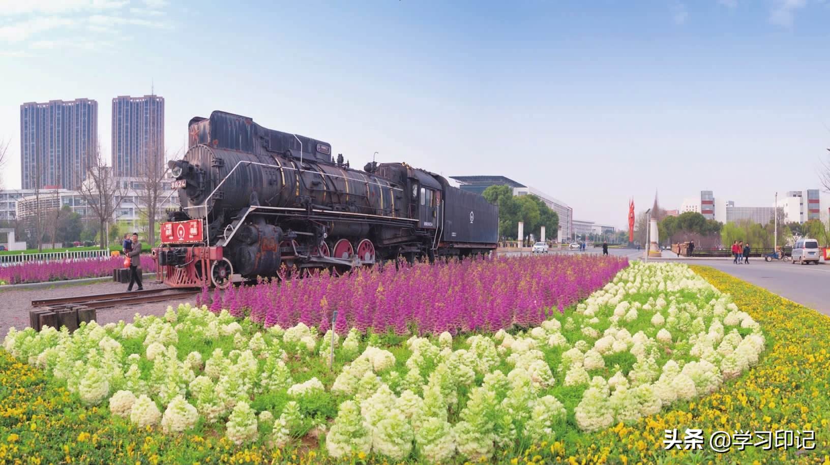 浙江的5类专科,浙江就业最好的专科