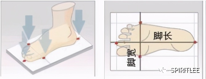怎么知道自己什么脚型,你知道自己的脚型吗