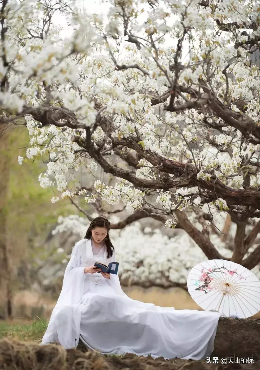 *疆新**库尔勒彻底火了！登上央视让世界瞩目，为库尔勒而骄傲