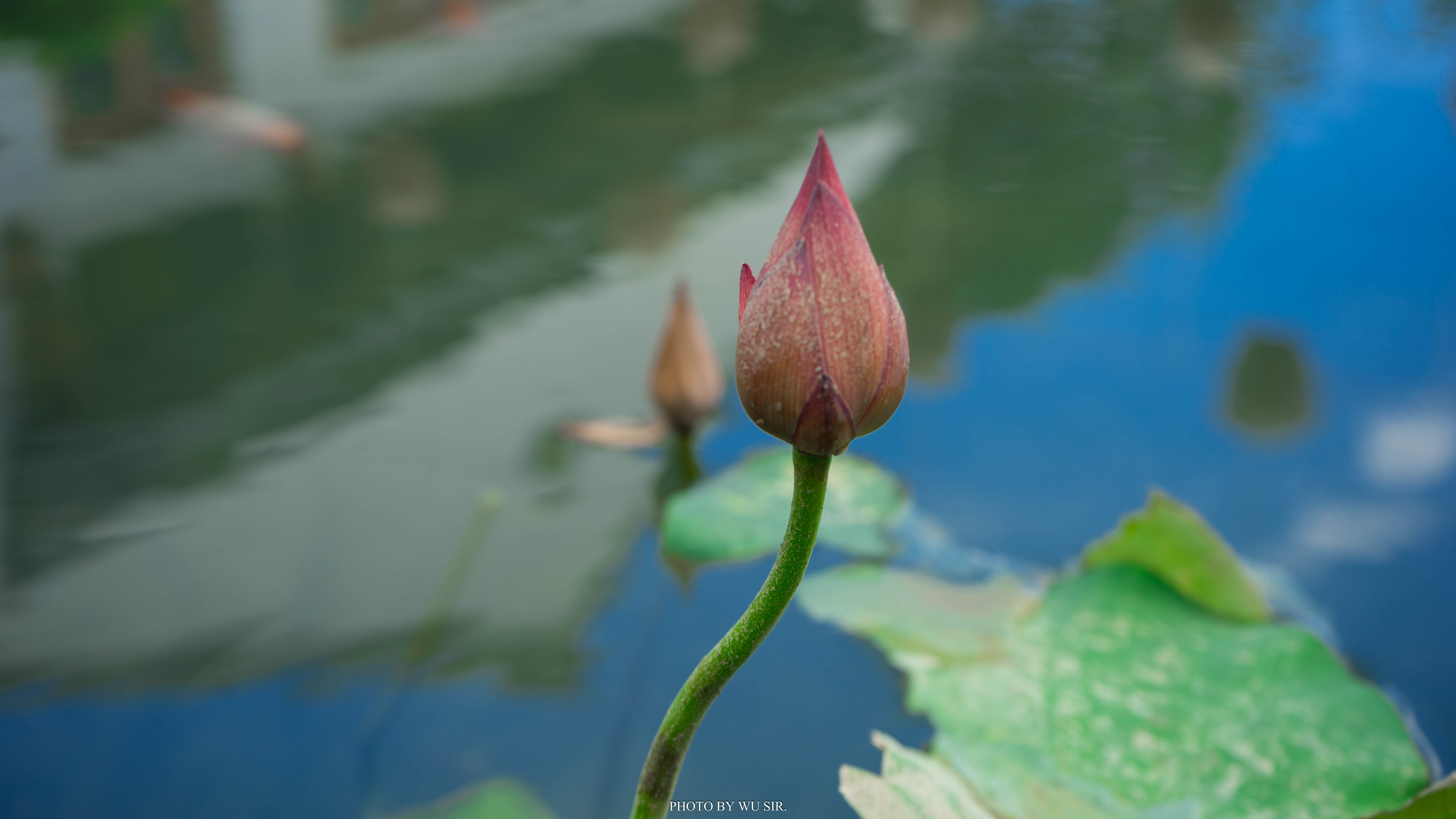 我与临海的三天两夜：从自然走向人文，从人文体悟生活