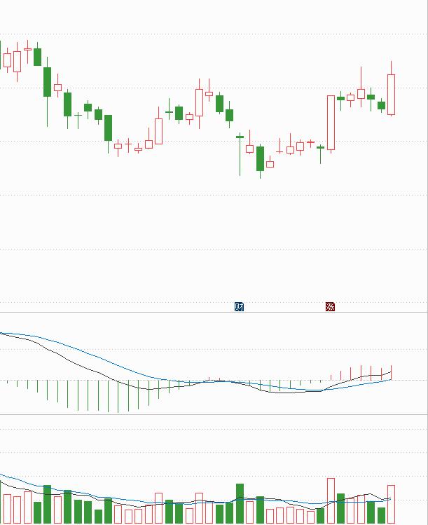 怎样选出板块里涨幅靠前的股票,怎样在板块里找到最强势的股票
