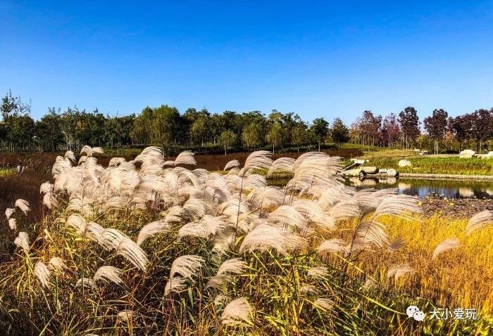 北京室内温泉游乐场,北京室内运动游乐场