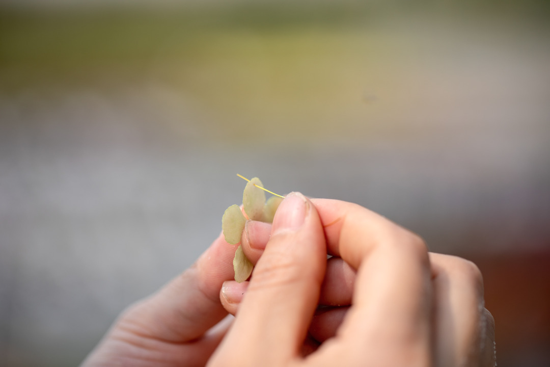 收藏春天的教程,怎么收藏春天