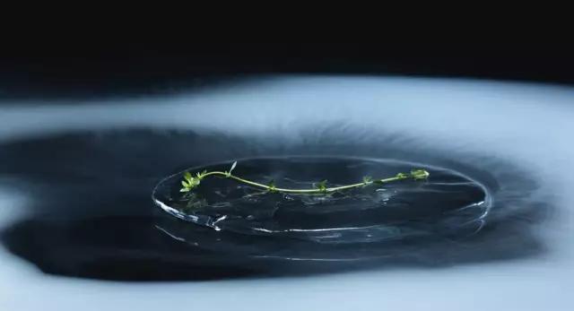 美食摄影真的没有这么难,美食摄影一拍就上手