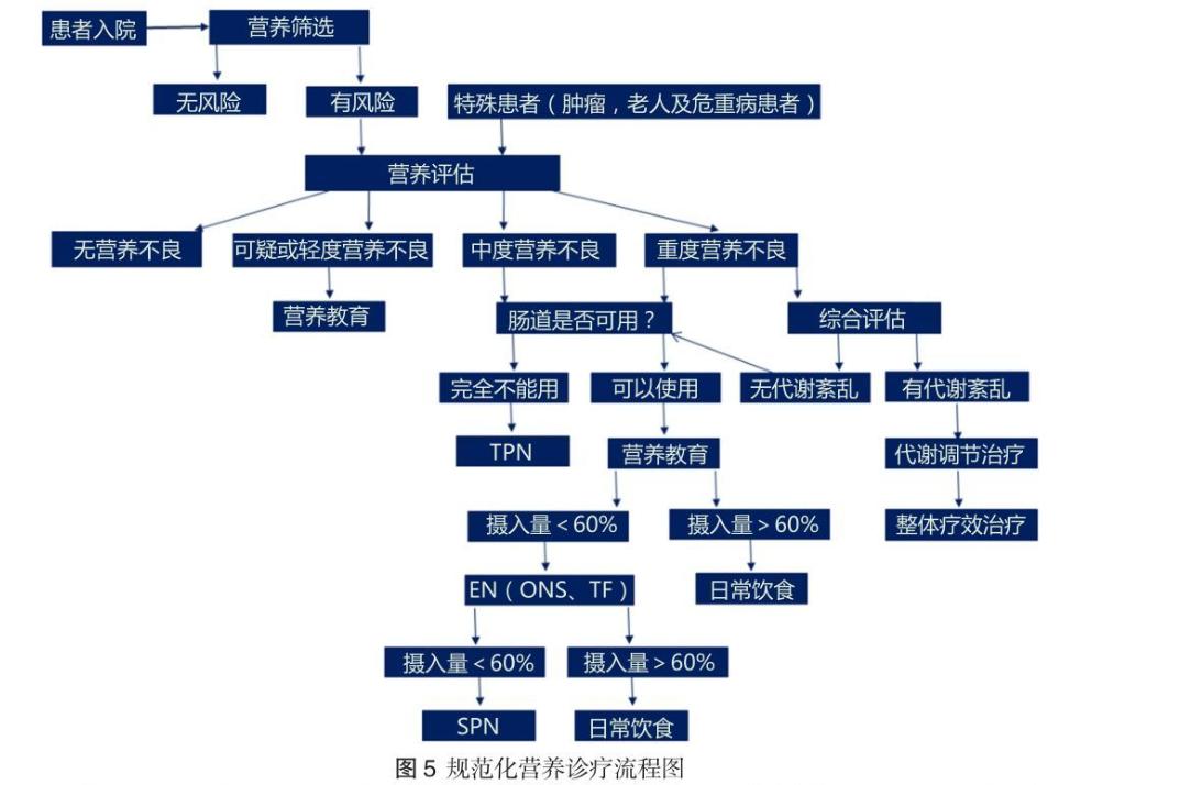 瘦子不想吃东西怎么增肥,瘦子吸收不好如何调理