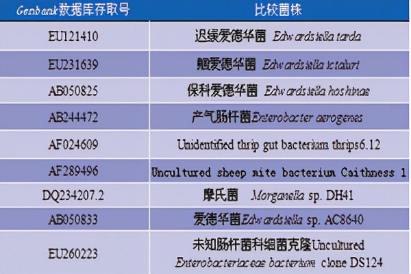 黄颡鱼裂头病用什么药,黄颡鱼烂头病发病原因