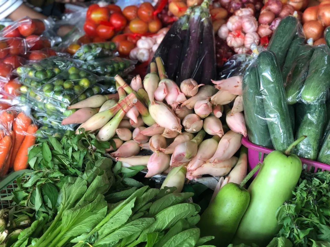 出不了门的心情,出不了门的日子让人心绪难平