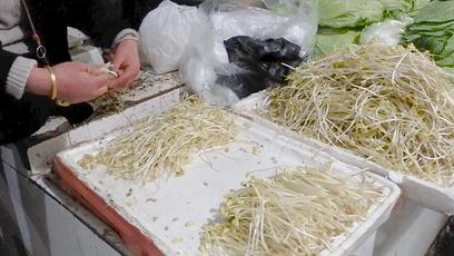 下一站泸州粤语,下一站泸州古蔺