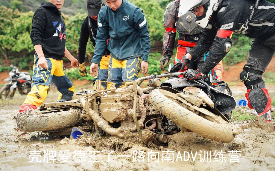 新品合成机油,壳牌机油新产品