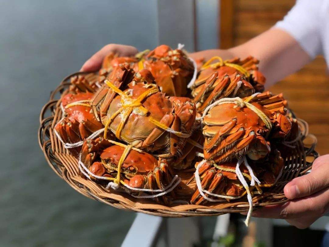 大闸蟹金秋蟹礼,秋风起蟹脚痒还是蟹脚肥