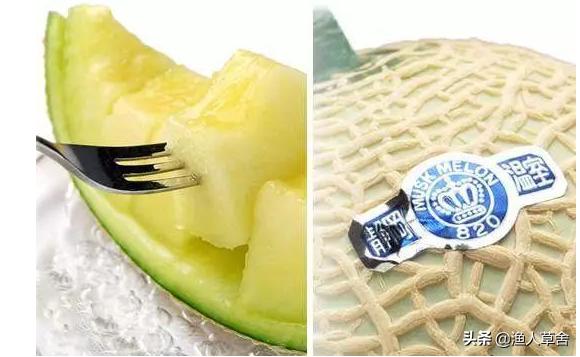 网纹瓜和静冈蜜瓜,静冈蜜瓜是网纹瓜吗