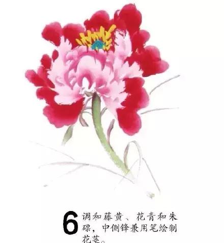 墨尔本写意牡丹的画法教程,小写意国画牡丹叶子的画法