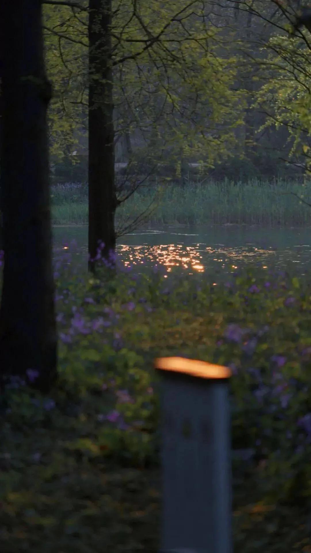 微信动态壁纸高清无水印,微信封面动态视频高级感无水印