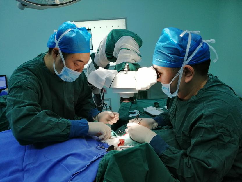 工友之间争吵被咬致耳垂断离，穗医生“断耳再植”获成功