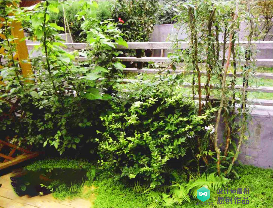 野趣庭院设计,120田园小清新装修风格