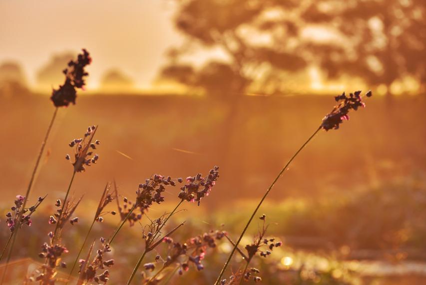 初秋的诗词经典赏析,初秋诗词大全100首