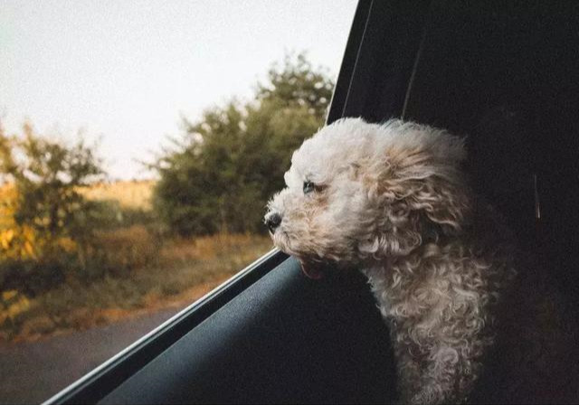 打工不想去了的说说,打工没有出路创业才是正确的选择