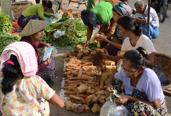 一种可以防晒和美容的锯末粉，缅甸女人男人都爱用