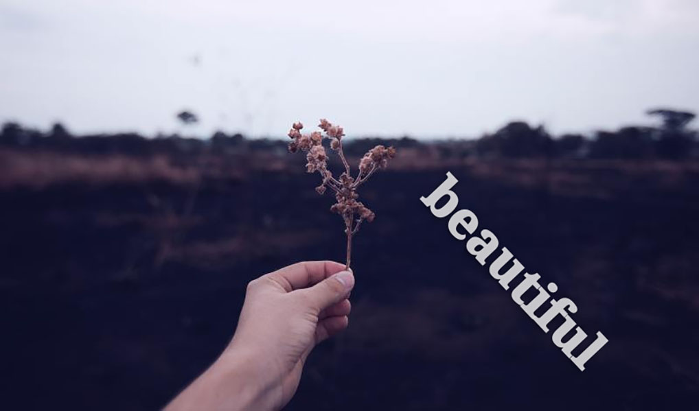 喜欢的图有水印怎么办,喜欢的图片怎么清理呀