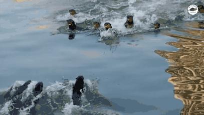 新加坡华人打架斗殴事件,新加坡打架最惨烈的一次