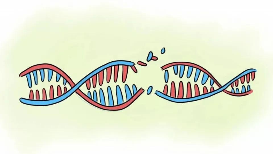 中医可以治疗复发性流产吗,复发性流产再次怀孕要查哪几项