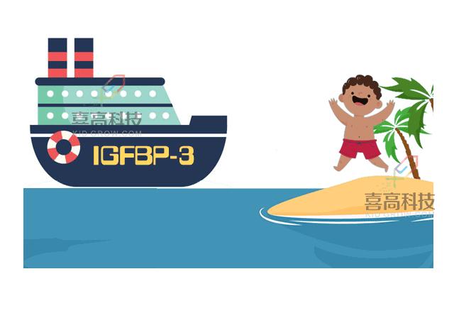 生长因子igf-1偏低要做磁共振吗,生长因子结合蛋白查什么的